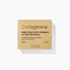 collagenina_night_cream_6_collagens_ookreem_6_kollageeni_tase_2.jpg